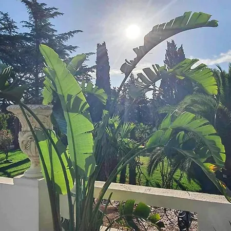 Apartment 1 Bedroom Nice In Saint-raphael Saint-Raphael (Var)